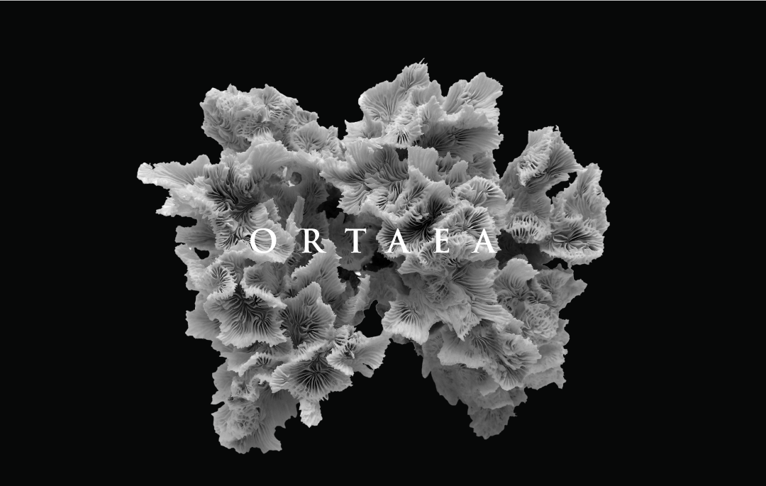 Ortaea