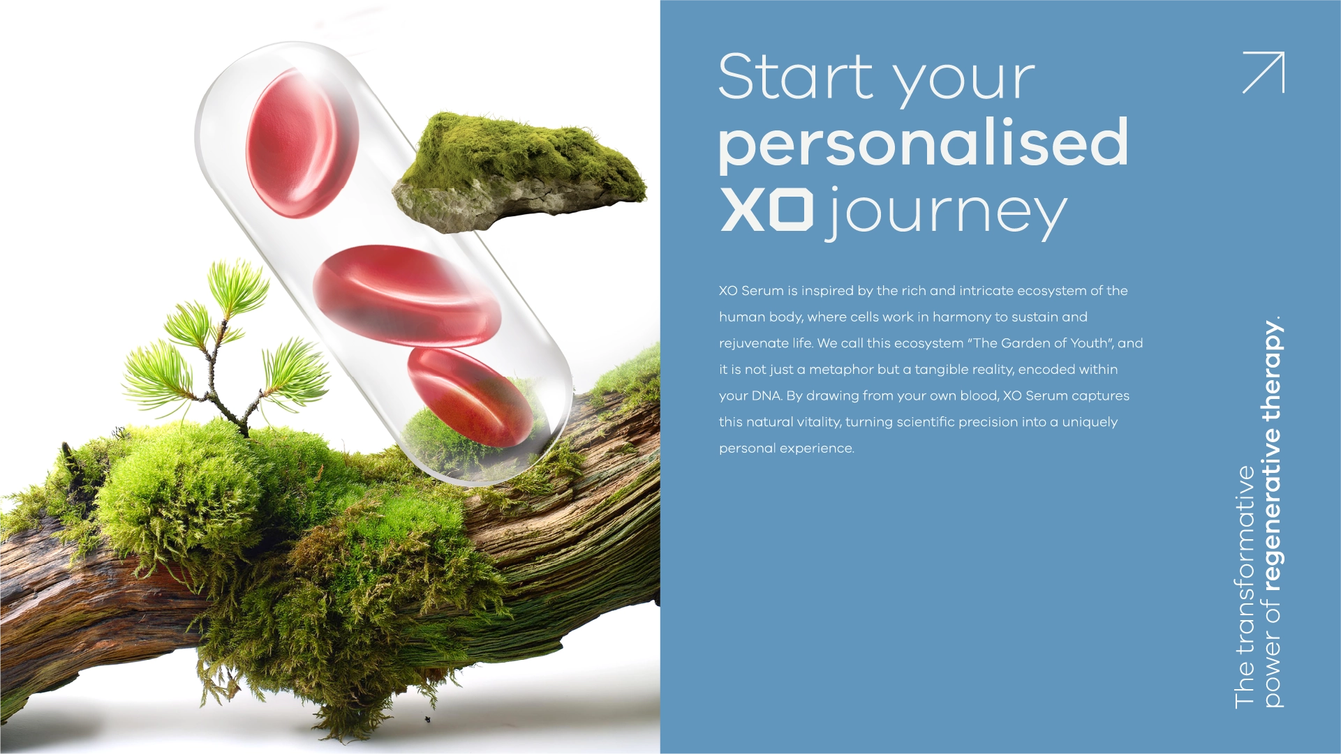 XO SERUM